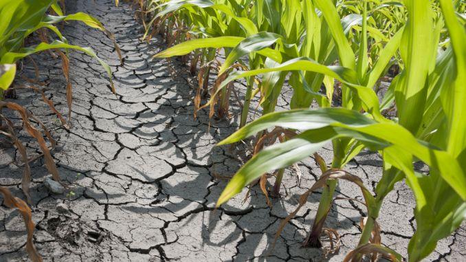 Ne aşteaptă o săptăm&acirc;nă de foc! Temperaturile vor depăşi din nou 40 de grade Celsius