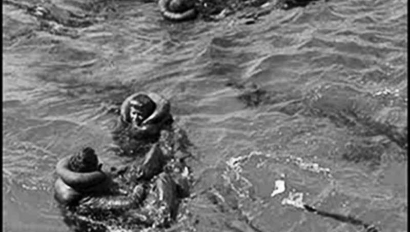 ”Rechinii au devorat 900 dintre tovarășii mei!” Nava care a cărat bomba de la Hiroshima a fost descoperită la 5.500 m adâncime, după 72 de ani. Comandantul s-a sinucis cu un glonț în cap!