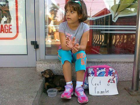 Un trup mic și un suflet mare! O fetiță din București, gest impresionant. A stat mai multe zile pe stradă, cu un cățeluș abandonat, &icirc;n speranța că &icirc;i va găsi o familie