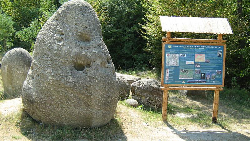 TROVANȚII. România, misterul pietrelor care cresc. ”După ploaie, apar, așa, ca ciupercile din nisip”, spun localnicii. Oamenii de știință nu au un răspuns exact
