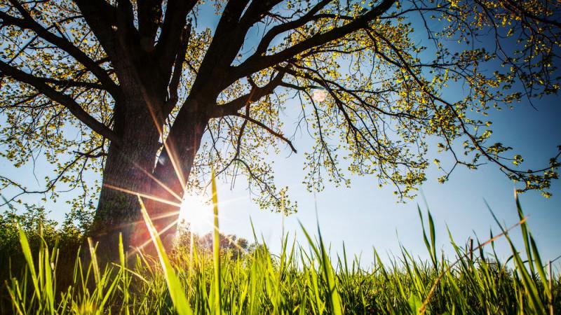 Meteorologii au făcut anunţul: Temperaturile, anormale pentru această perioadă! Prognoza meteo pentru următoarele săptăm&acirc;ni