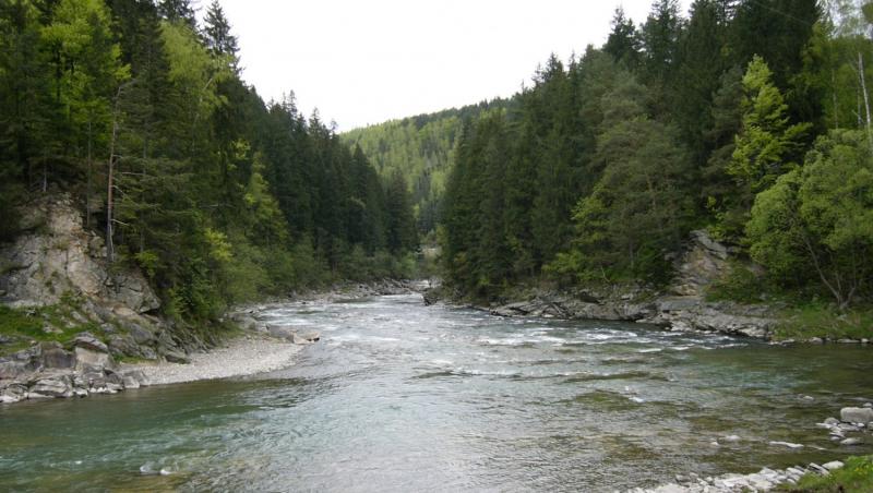 Două cadavre au fost găsite plutind pe râul Prut! Poliția a demarat o anchetă