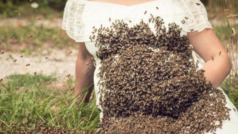 O femeie însărcinată a lăsat un roi de albine să se aşeze pe burta ei. Motivul i-a şocat pe internauţi!