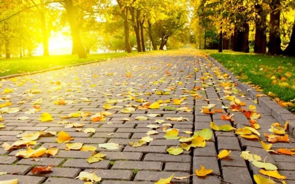 Vremea, la EXTREME! Prognoza meteo pentru următoarele două săptăm&acirc;ni