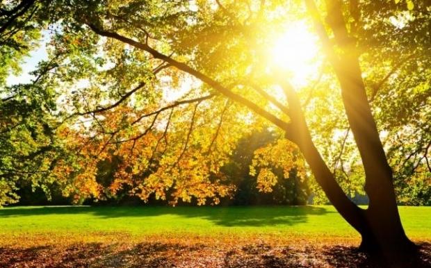 Meteorologii au emis PROGNOZA pentru weekend. Vremea va fi mai caldă dec&acirc;t &icirc;n mod obişnuit