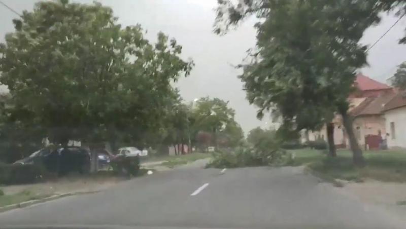 Imagini noi filmate în timpul furtunii de la Timișoara. Detalii CUTREMURĂTOARE observate pe filmare!