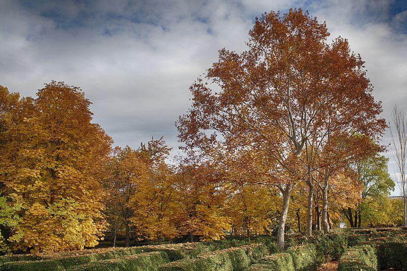 Noiembrie cu temperaturi de vară, &icirc;n decembrie şi ianuarie va fi ger năprasnic! C&acirc;nd apar primele ninsori