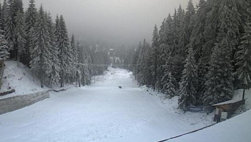 Ninge în România de câteva ore, iar stratul de ZĂPADĂ are deja câţiva centimetri. Primele imagini!