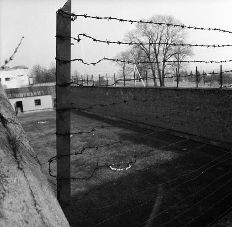 Un deputat a fost pedepsit să viziteze lagărele de concentrare naziste. S-a întors totul împotriva lui