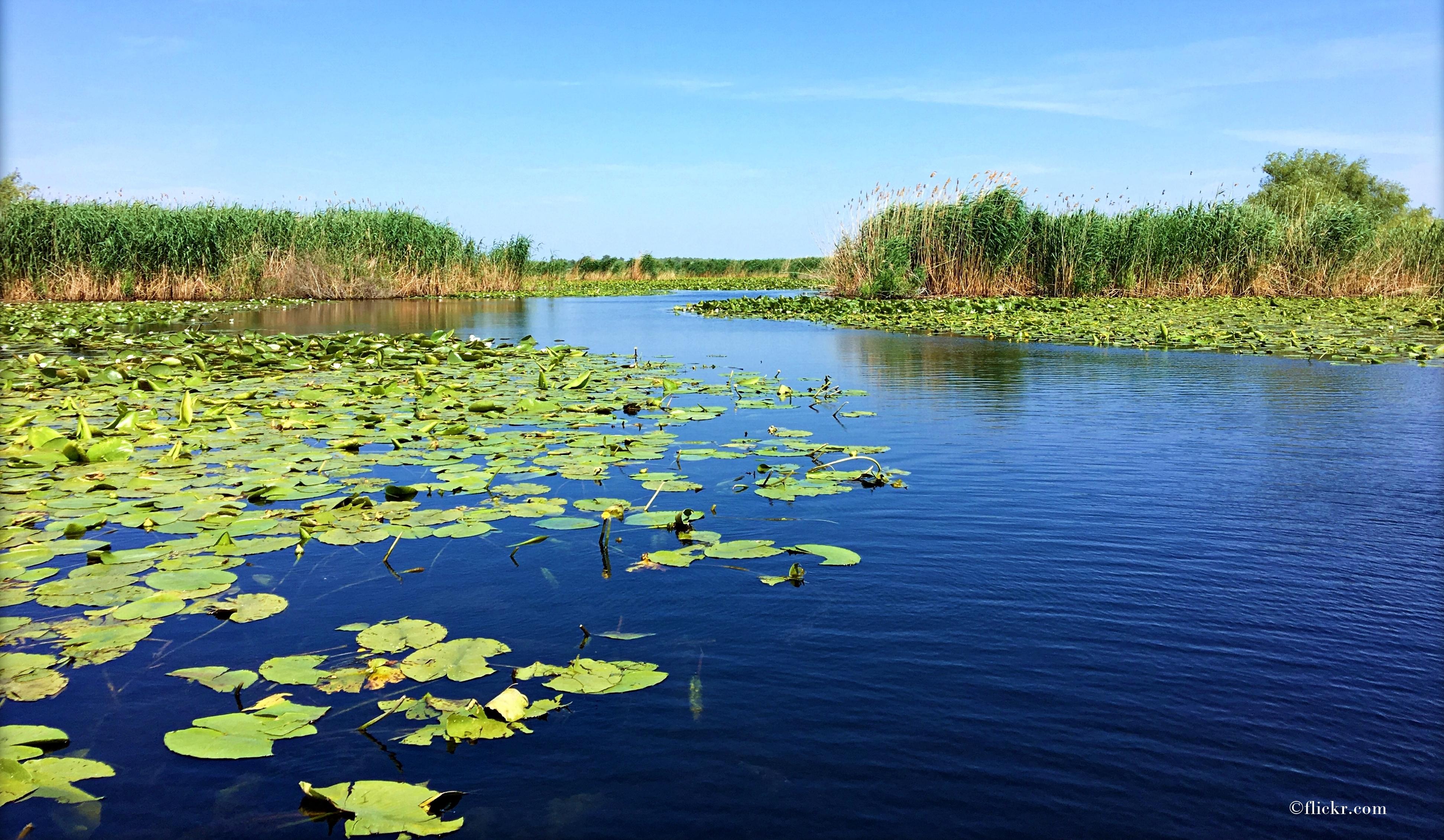 Delta Dunării &ndash; un paradis de explorat &icirc;n luna octombrie