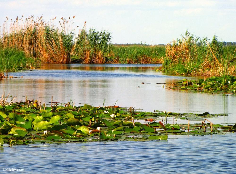 Delta Dunării poate fi explorată și &icirc;n lunile de toamnă!
