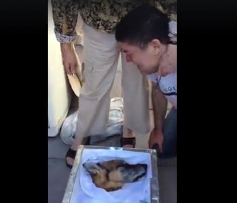 Imagini emoționante! Un bărbat își plânge prietenul mort. Durerea despărțirii de câinele care i-a stat alături este de nealinat (VIDEO)