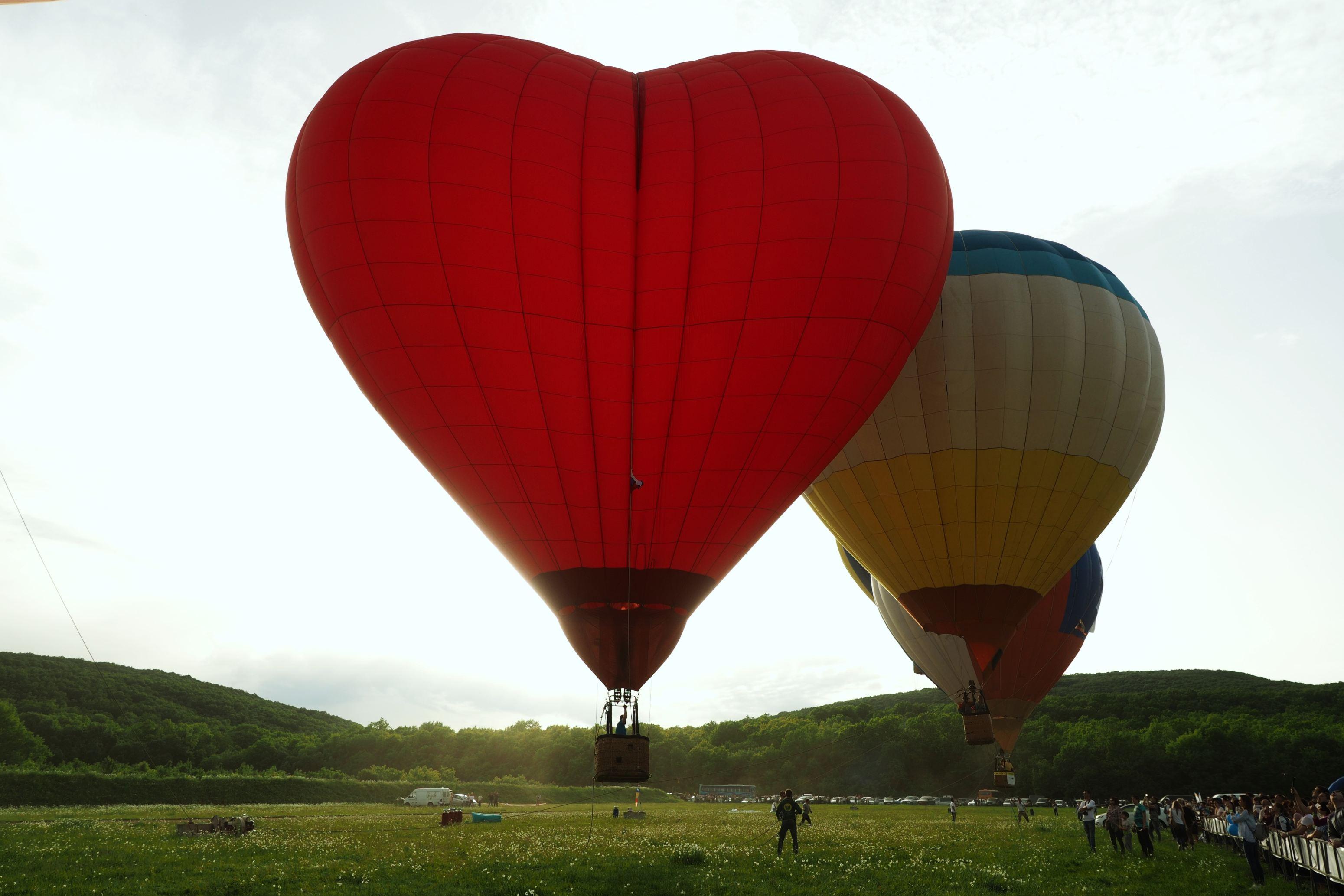 Astăzi celebrăm Ziua mondială a inimii. Prin ce evenimente este marcată &icirc;n Rom&acirc;nia