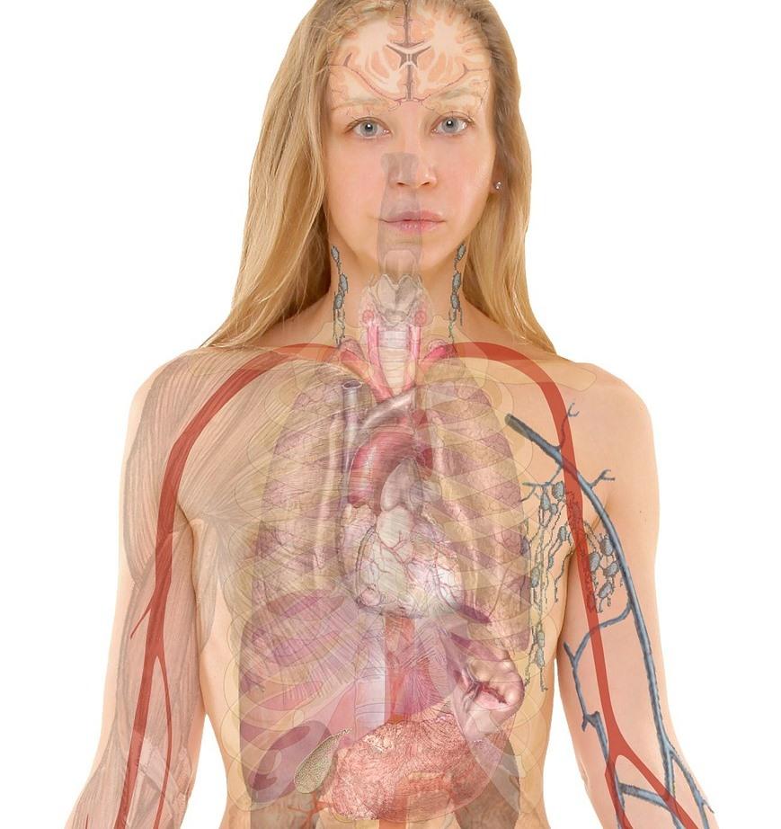 Rom&acirc;nii revoluționează lumea medicală: organele vor fi scoase la imprimantă &icirc;n viitor