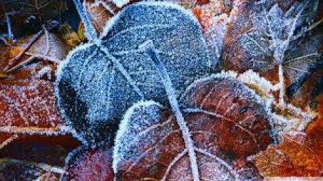 ANM, prognoza meteo. VREMEA în LUNA OCTOMBRIE! Avem parte de toamnă cu temperaturi scăzute ca de iarnă!