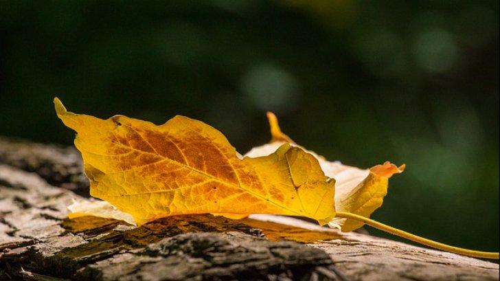 Vremea se schimbă radical! Toamna &icirc;şi intră &icirc;n drepturi, dar va fi una călduroasă