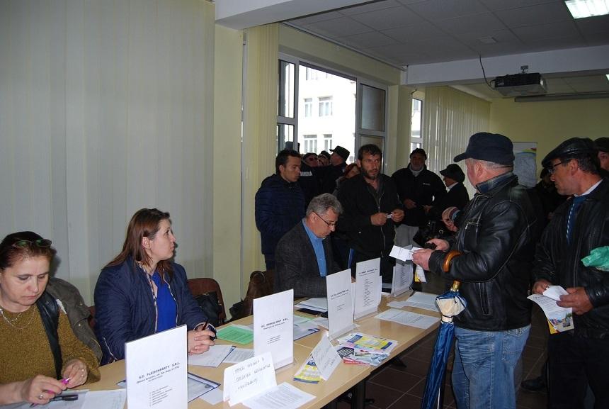 Peste 900 de locuri de muncă vacante &icirc;n statele europene; cele mai multe, &icirc;n Portugalia, la cules de zmeură şi &icirc;n Spania, tot &icirc;n agricultură