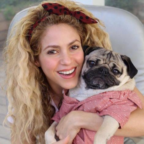 Shakira, momente de disperare! Artista se confruntă cu o boală cruntă și riscă să nu mai fie la fel! Ce i-au spus medicii