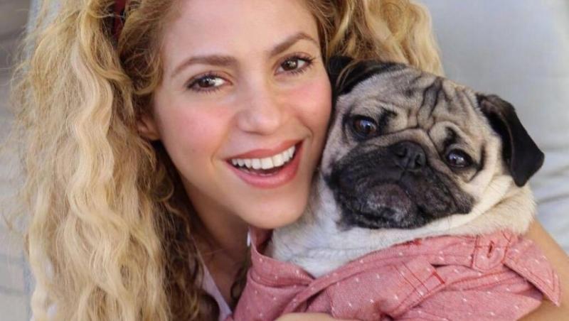 Shakira suferă de o boală cumplită