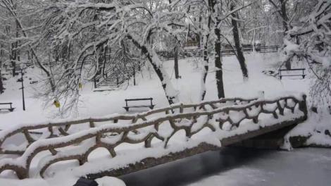 Vremea 18 ianuarie. În Craiova, soarele își face apariția, dar atmosfera se menține rece