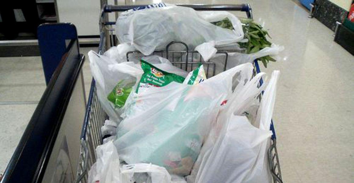 E oficial! Rom&acirc;nia interzice, din vară, pungile din plastic