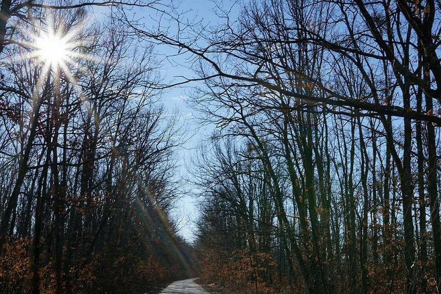 Vremea 19 ianuarie. Vești bune de la meteorologi! Vreme primăvăratică, m&acirc;ine, &icirc;n București