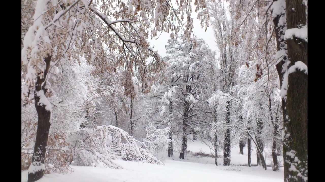 Vremea 19 ianuarie - Craiova. E cod galben de vreme rea &icirc;n Dolj. M&acirc;ine, sunt anunțate ploi