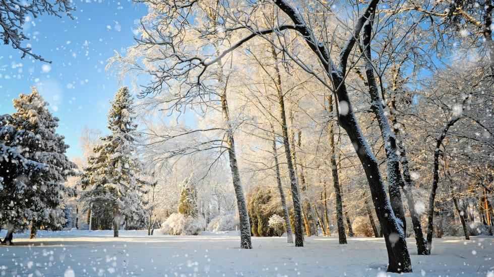 Vremea 20 ianuarie. Temperaturile scad brusc! C&acirc;nd va ninge &icirc;n București