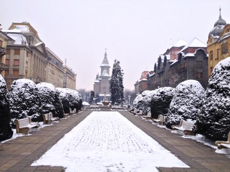 Vremea 24 ianuarie Timișoara. Cer parțial noros