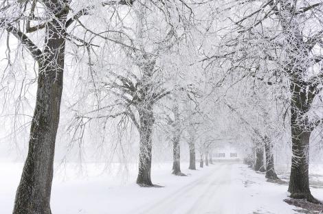 Iarna pune stăpânire pe România: -21 de grade Celsius. Ce ne așteaptă în această seară