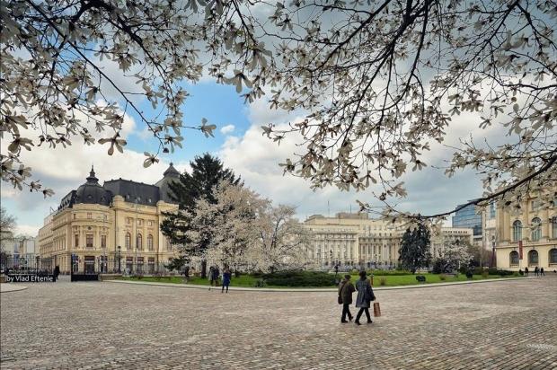 PROGNOZA METEO 25 ianuarie. Vreme schimbătoare: ziua cald, noaptea ger