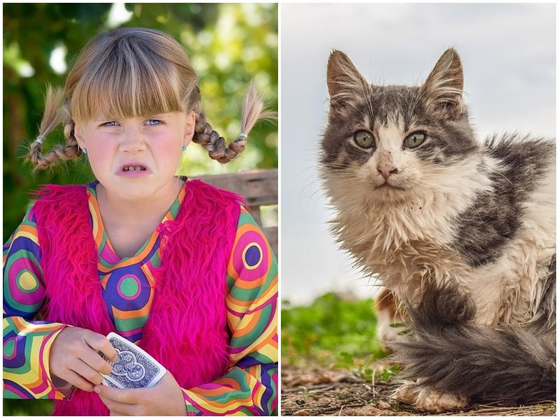 Reacția unei fetițe, &icirc;n fața unei bătr&acirc;ne violente cu animalele străzii. A fugit din salonul &icirc;n care se afla alături de mama ei: "Tanti, dacă dai &icirc;n ea, &icirc;ţi dau un picior de-ţi cade tencuiala de pe față"