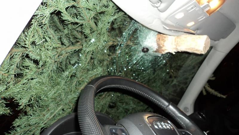 Un român și-a aruncat bradul de Crăciun direct în parbrizul unui șofer: „Imaginează-ți că poate treci singur sau cu copilul și îți sparge capul un brad aruncat de la etaj!”