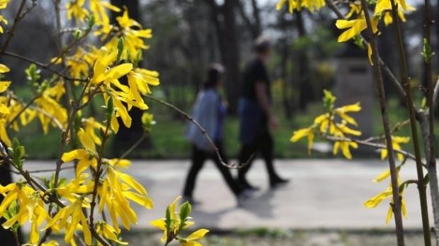 VREMEA 27 ianuarie. Va fi mai cald dec&acirc;t &icirc;n mod normal &icirc;n toată țara