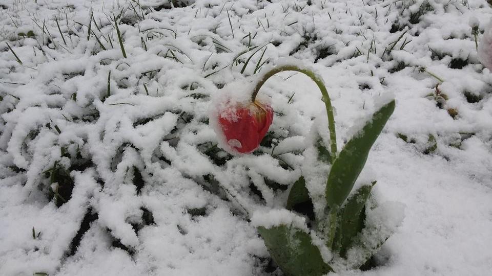 VREMEA. Schimbări MARI de temperatură. Meteorologii spun că p&acirc;nă acum nu ne-am mai confruntat cu așa ceva!