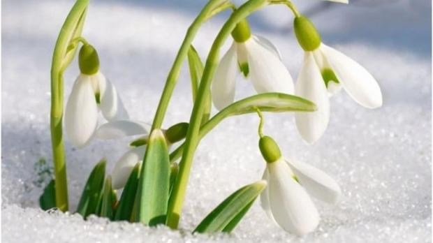 VREMEA 30 ianuarie.Temperaturi de primăvară &icirc;n toată Rom&acirc;nia