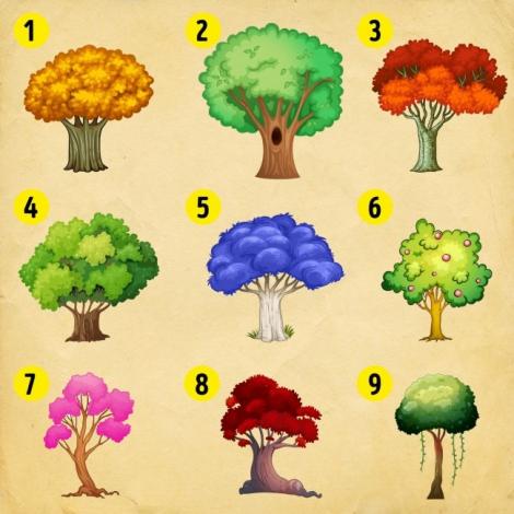 Alege un copac și marile tale secrete vor fi dezvăluite! Testul acesta arată ce fel de om ești! Ai curaj să încerci?