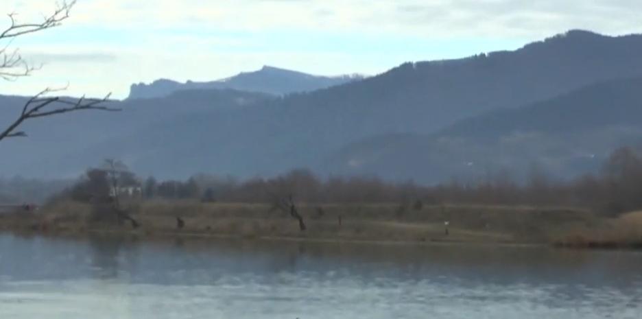 Surpriză uriașă la Lacul B&acirc;tca din Piatra Neamț! Peste ce au dat locuitorii ieșiți să se plimbe &icirc;n zonă?