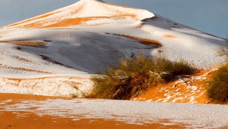 Fenomene extreme! A nins în deșertul Sahara, pentru al treilea an la rând. Totul e acoperit de zăpadă!