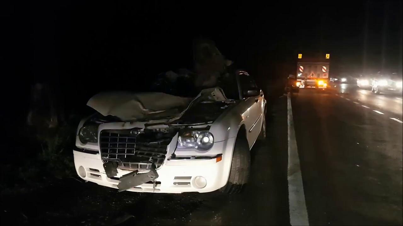 Accident CUMPLIT! Cinci persoane, printre care o femeie &icirc;nsărcinată, au ajuns de urgență la spital, după ce mașina &icirc;n care se aflau a lovit un cal apărut brusc pe șosea