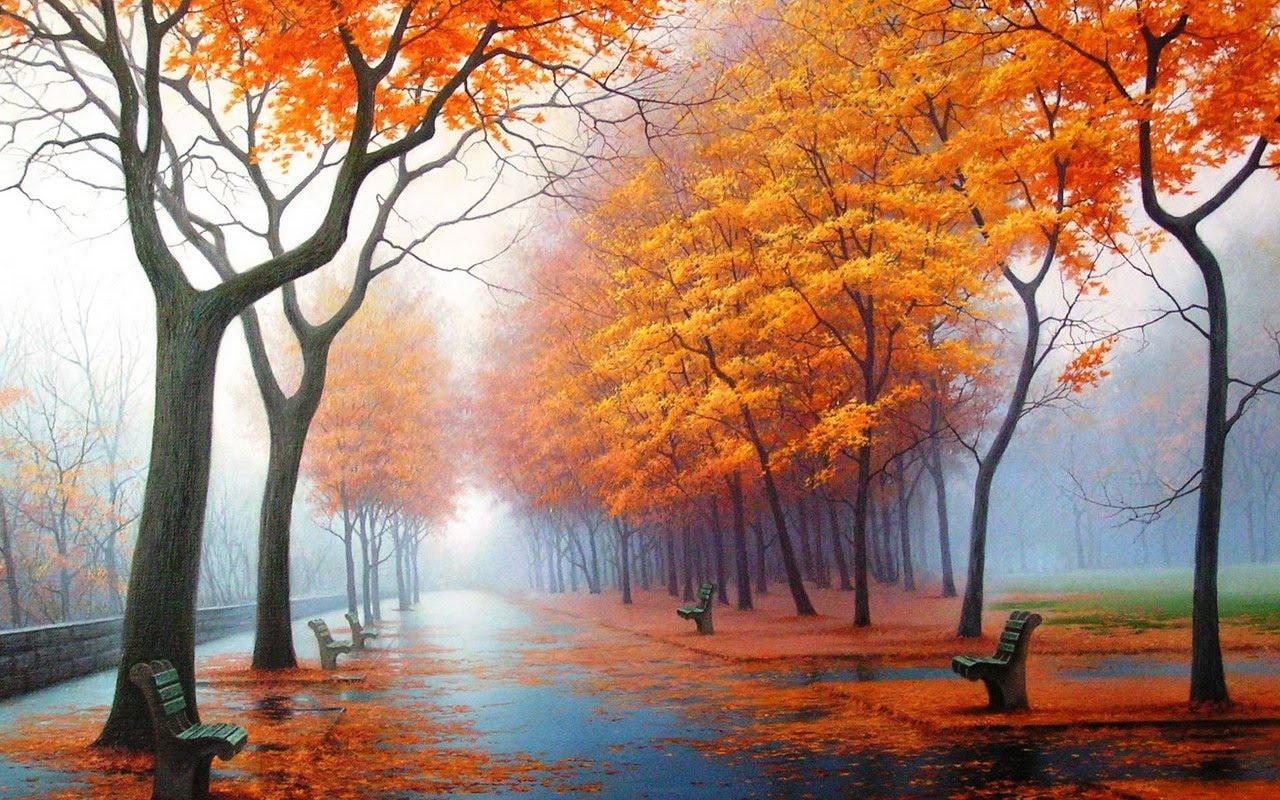 Vremea 11 octombrie. Condiții de ceață, dimineața, &icirc;n toată țara