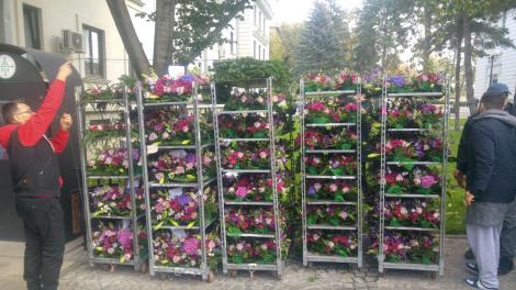 Sfânta Parascheva 2018. Câte camioane de flori au ajuns la Iași