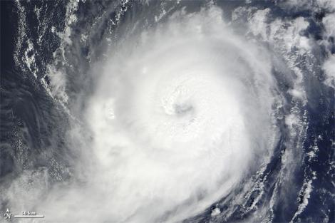 Uraganul Michael. Care sunt urmările dezastrului lăsat în Florida