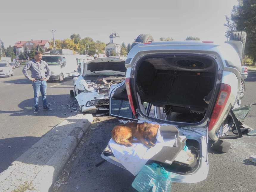 Nenorocire pe șosea, &icirc;n apropiere de București. Sunt TREI VICTIME. Un șofer este de negăsit!