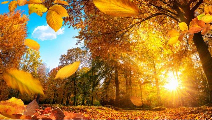 Prognoza meteo pentru perioada 15 octombrie - 12 noiembrie 2018