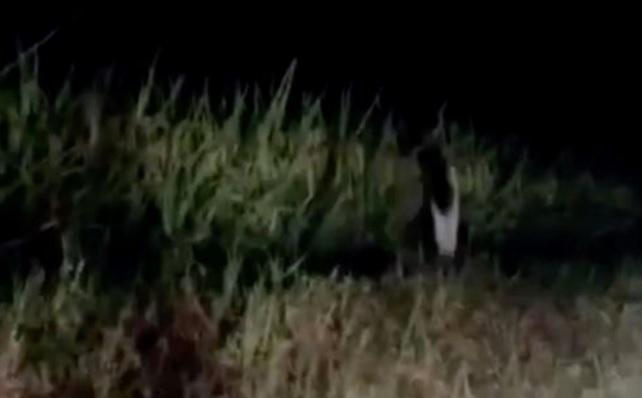 Te trec sudori reci! Fantoma unui copil fără un picior, surprinsă la marginea unei șosele - VIDEO