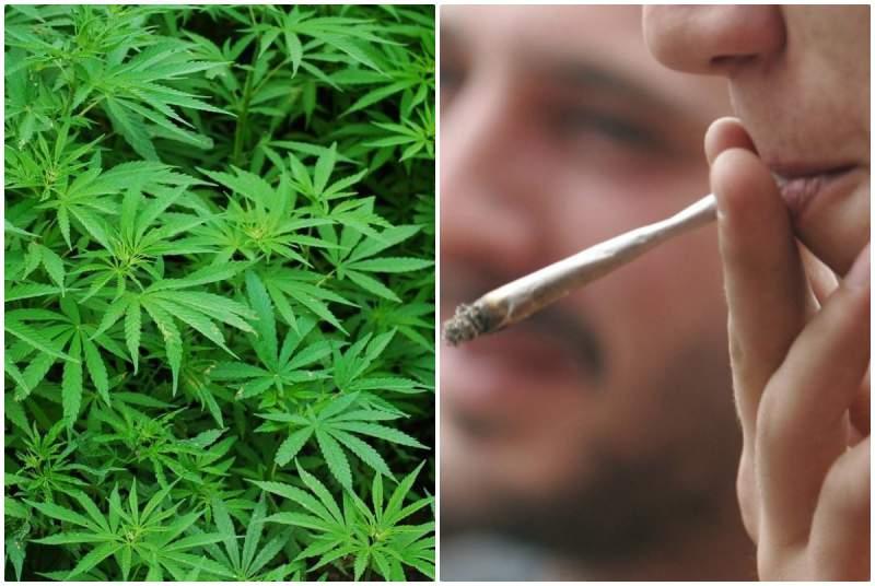 Gata! &Icirc;ncă o țară a legalizat consumul de canabis. Ce PERICOLE există după noua lege
