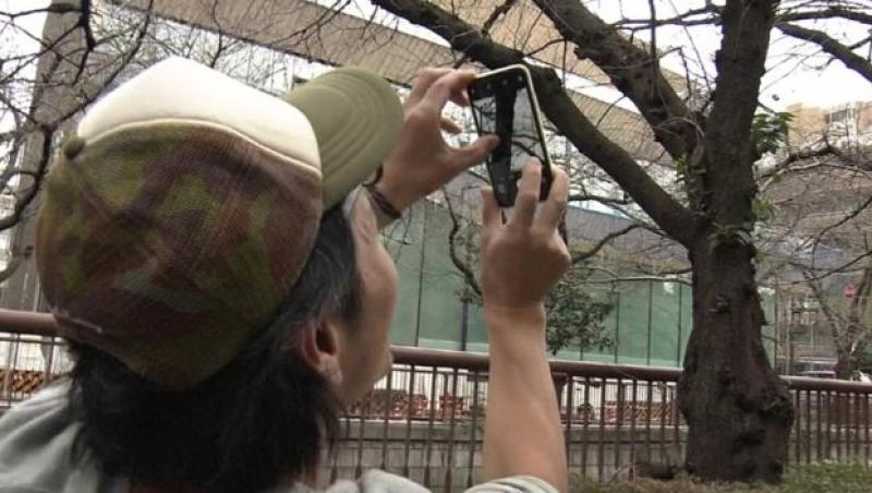 SPECTACOL al naturii FĂRĂ PRECEDENT! Locuitorii și turiștii din Japonia au rămas înmărmuriți - FOTO