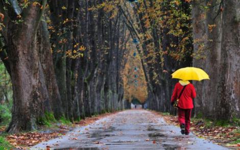 Vremea 19 octombrie 2018. Vin ploile și scad temperaturile în România