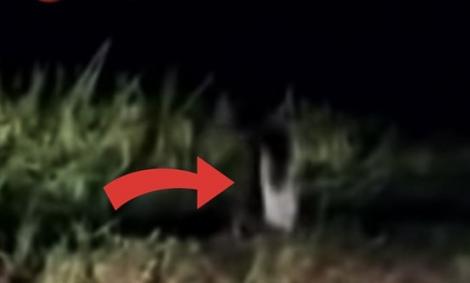 Imagini ȘOCANTE! Șoferul a filmat cum o fantomă îi apare noaptea pe drum (VIDEO)